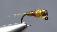 Video thumb for KLG Sulphur Frenchie