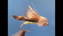 Video thumb for Letort Hopper