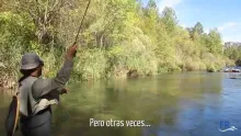 Video thumb for When the fish win
