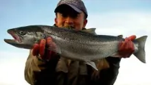 Video thumb for Rod on the Danish coast