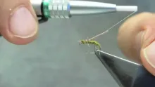 Video thumb for Trout Crack
