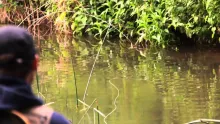 Video thumb for Catch Me If You Can...