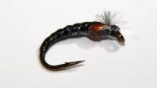 Video thumb for Grey and Black Modern Classic Chironomid