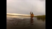 Video thumb for Forgotten Grayling Lake!