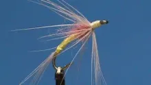 Video thumb for Tup's Indispensable