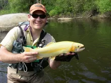 User submitted picture: Large Palamino on a PA Ta...