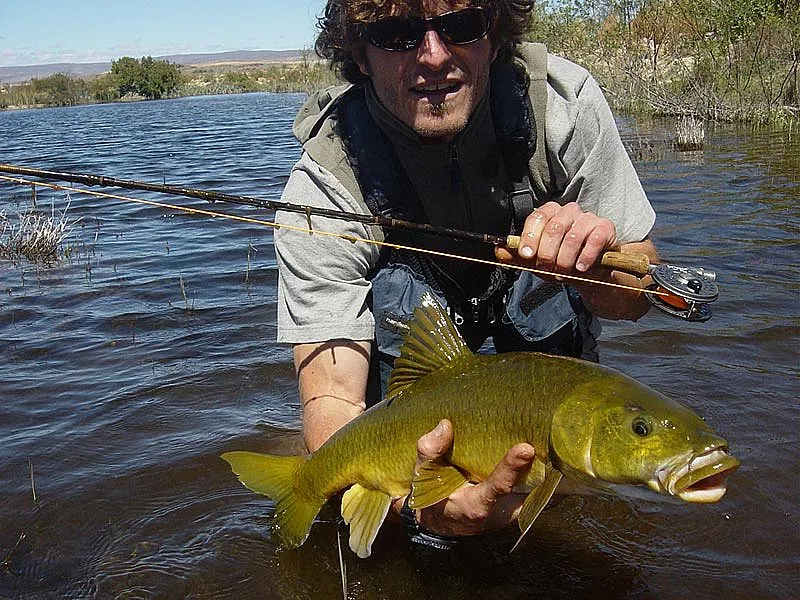 The artist with a clanwilliam yellowfish -