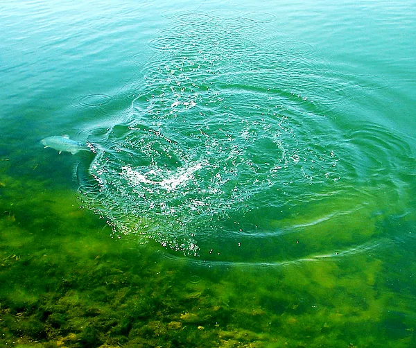 User submitted picture: At the end of the thread 