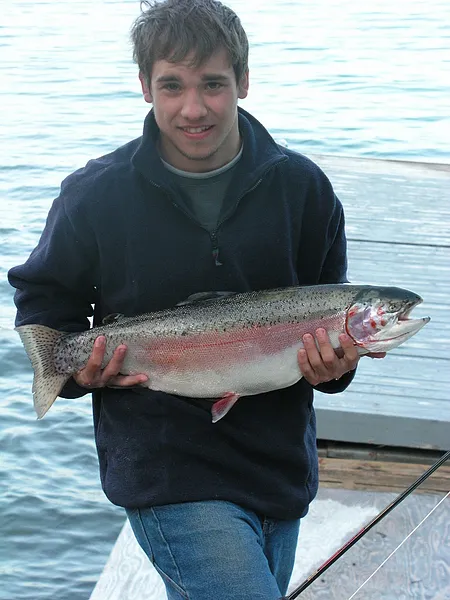 User submitted picture: Kamloops Rainbow 11 poun...